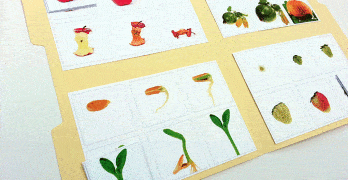 Sequencing6